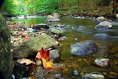 Autumn on the Rocks