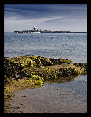 Coquet Island