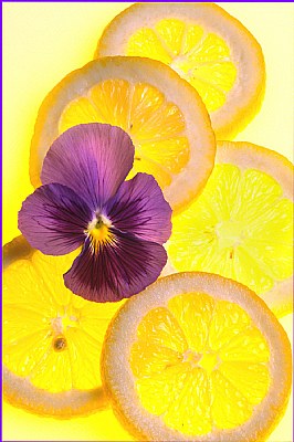 Lemon with Pansy