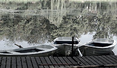 Calm