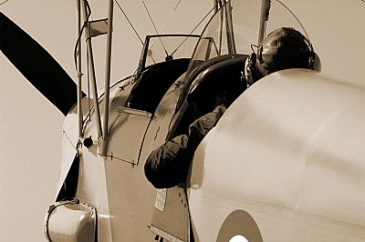 Tiger Moth (1)