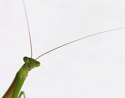 Hi There