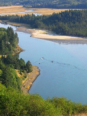 Salmon Bay View