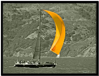 Yellow Sail