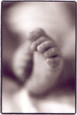 baby feet 1