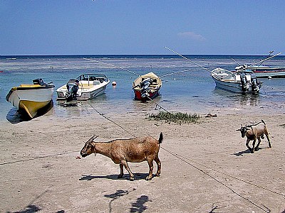Caribbean fishing village