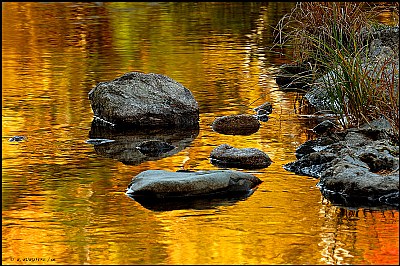 Golden Pond