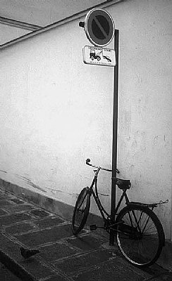 Bird Bike