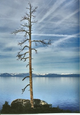 Last worier of Lake Tahoe