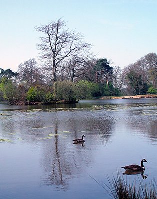 Early spring on the lake