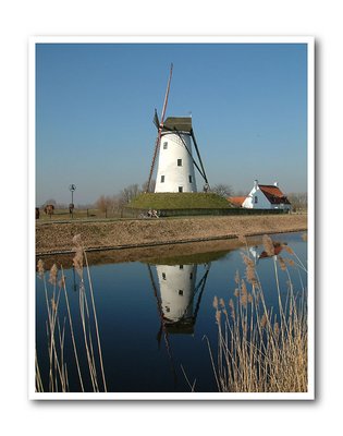 Damme: mill