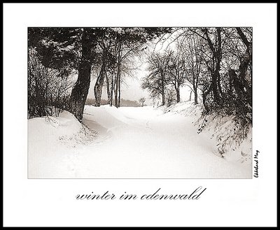 winter im odenwald