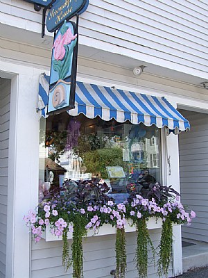 Shop Window