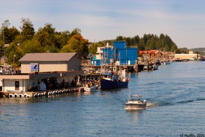 Ucluelet Harbour