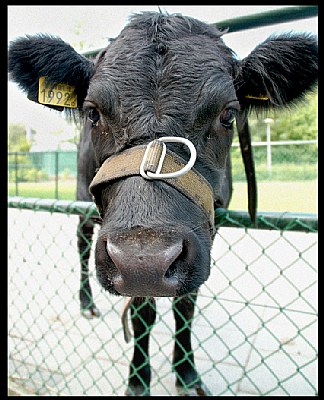 Hi there...