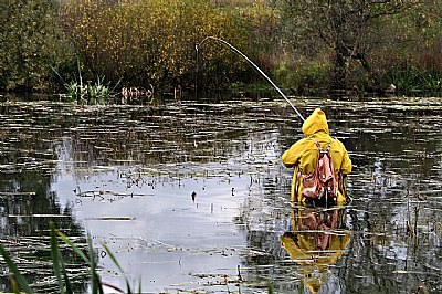 fisherman