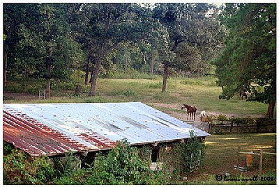 View from the hill