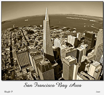 SF Skyline #1
