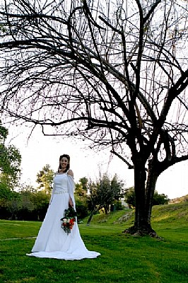The Bride