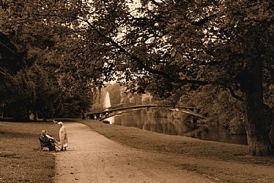 Meeting in the park...