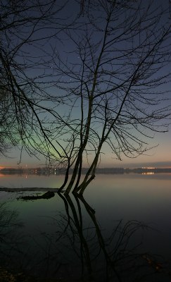 Pastoral Aurora