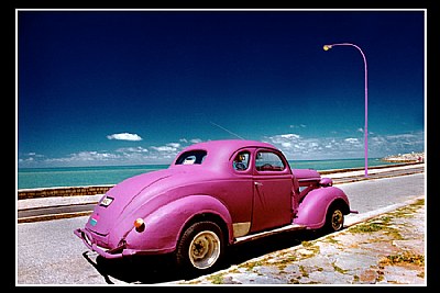 Violet Car
