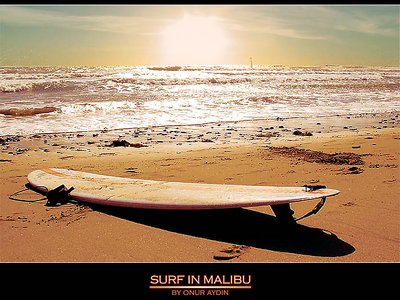 surf in malibu