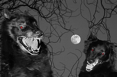 Werewolves