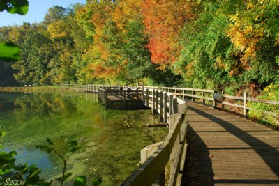 Fall Walk