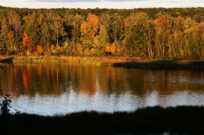 fall colors