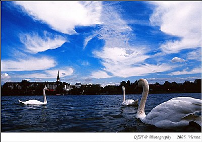 Donau River