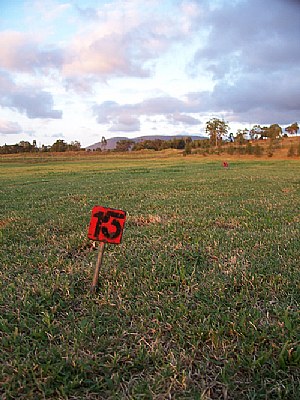 15 In the field.