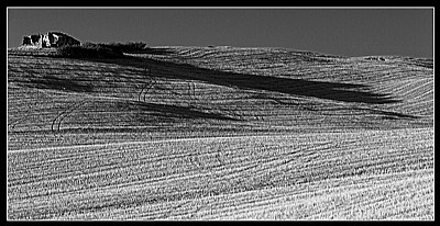 deserto toscano #29