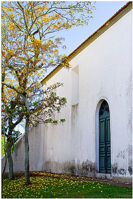 church in yellow