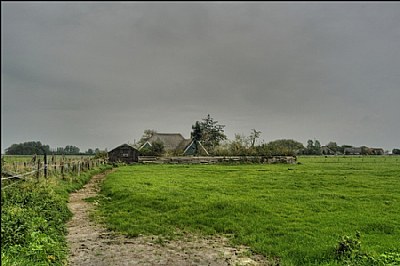 Farm