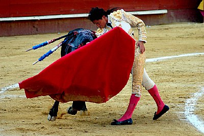 el torero