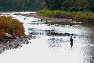 Steelhead Alley