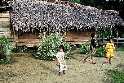 Mentawai Children