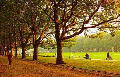 Afternoon in the park...