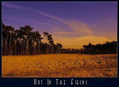 Out In The Fields