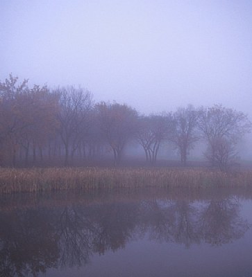 Autumn Morning Fog #2