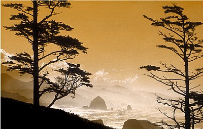 Canon Beach