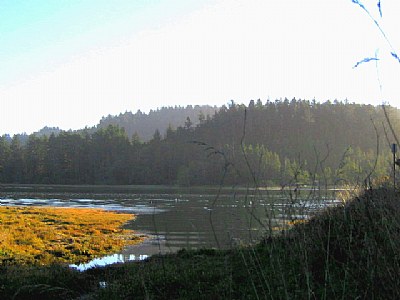 Salmon River Bay