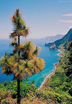 Madeira Colours