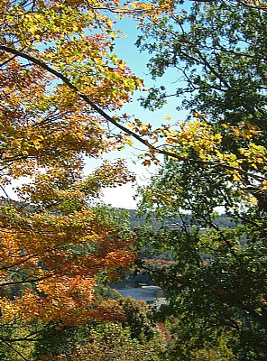 Colors of Fall