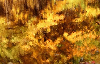 Monet Autumn