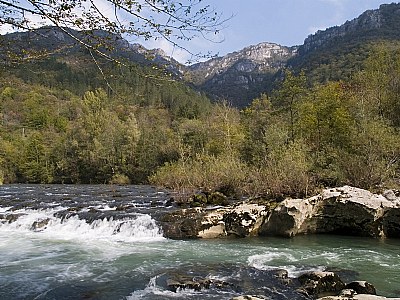 The River Kupa