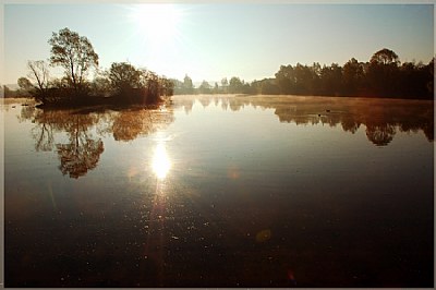 mist lake