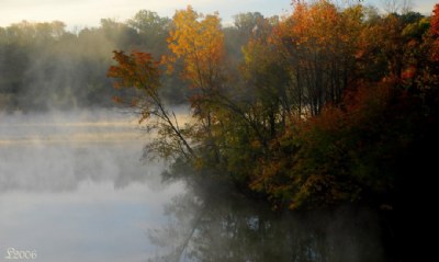 Morning Mist