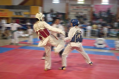 Taekwondo Combat